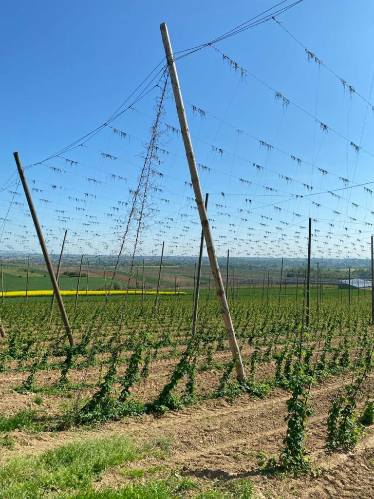 parcours sentier du houblon