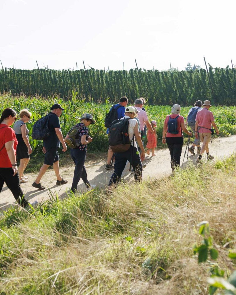 parcours sentier houblon wingersheim