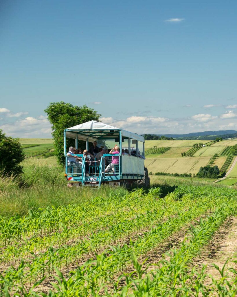 parcours sentier houblon wingersheim