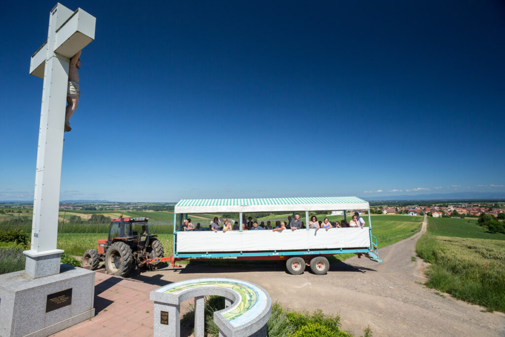 visite guidée sentier du houblon