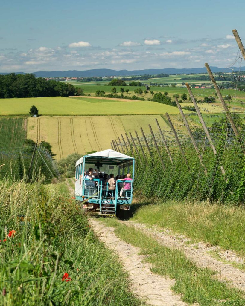 visite guidée sentier du houblon