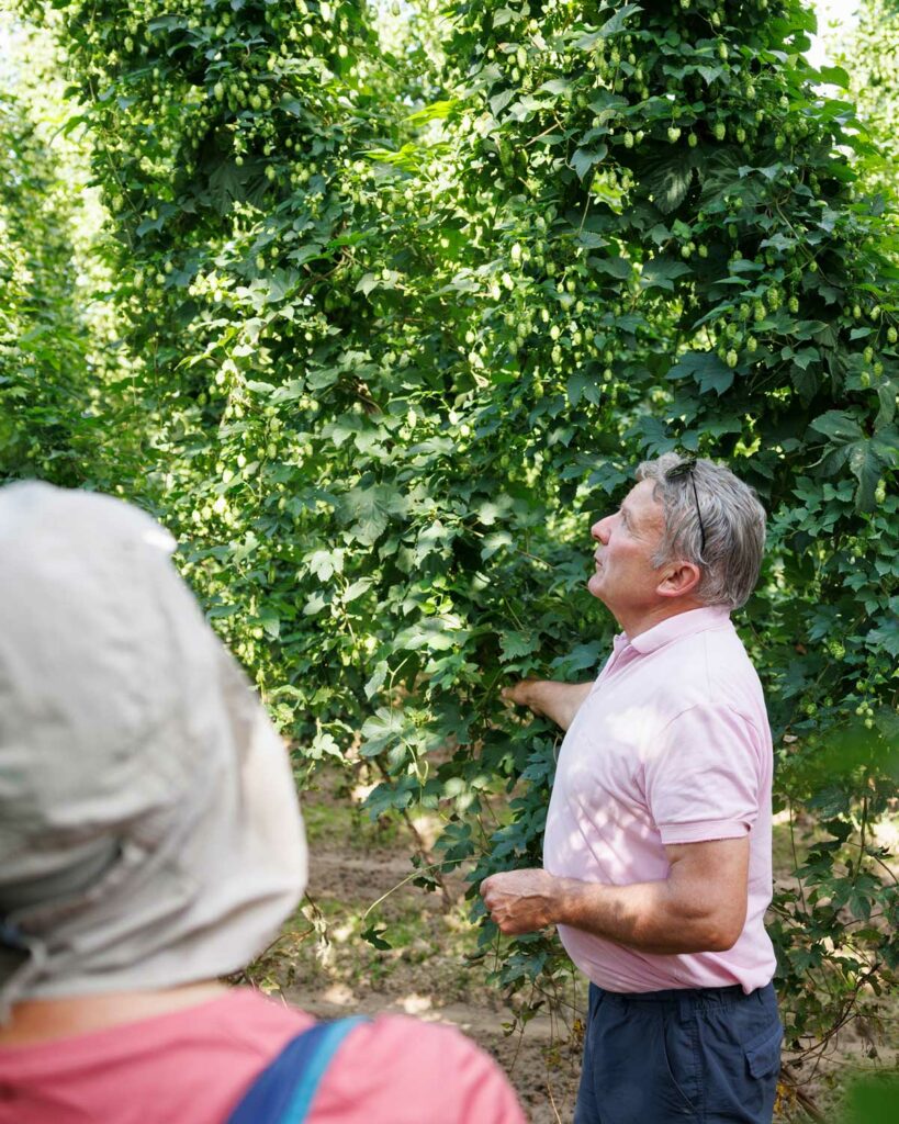 visite sentier houblon alsace
