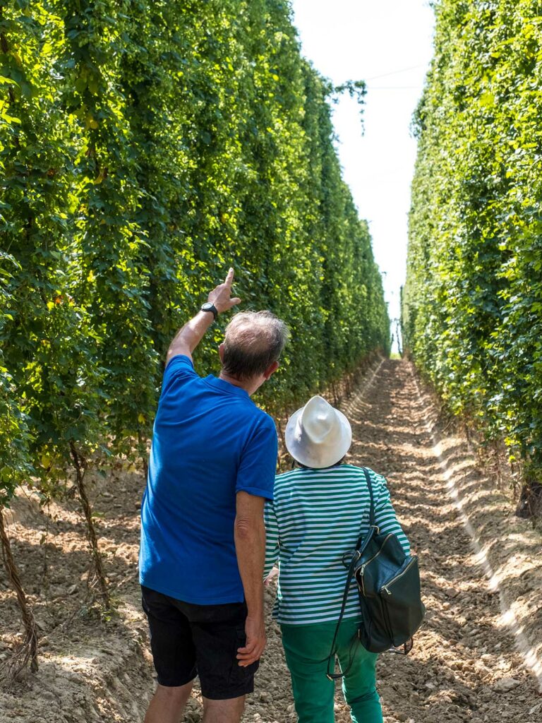 sentier du houblon vendredis houblonnés