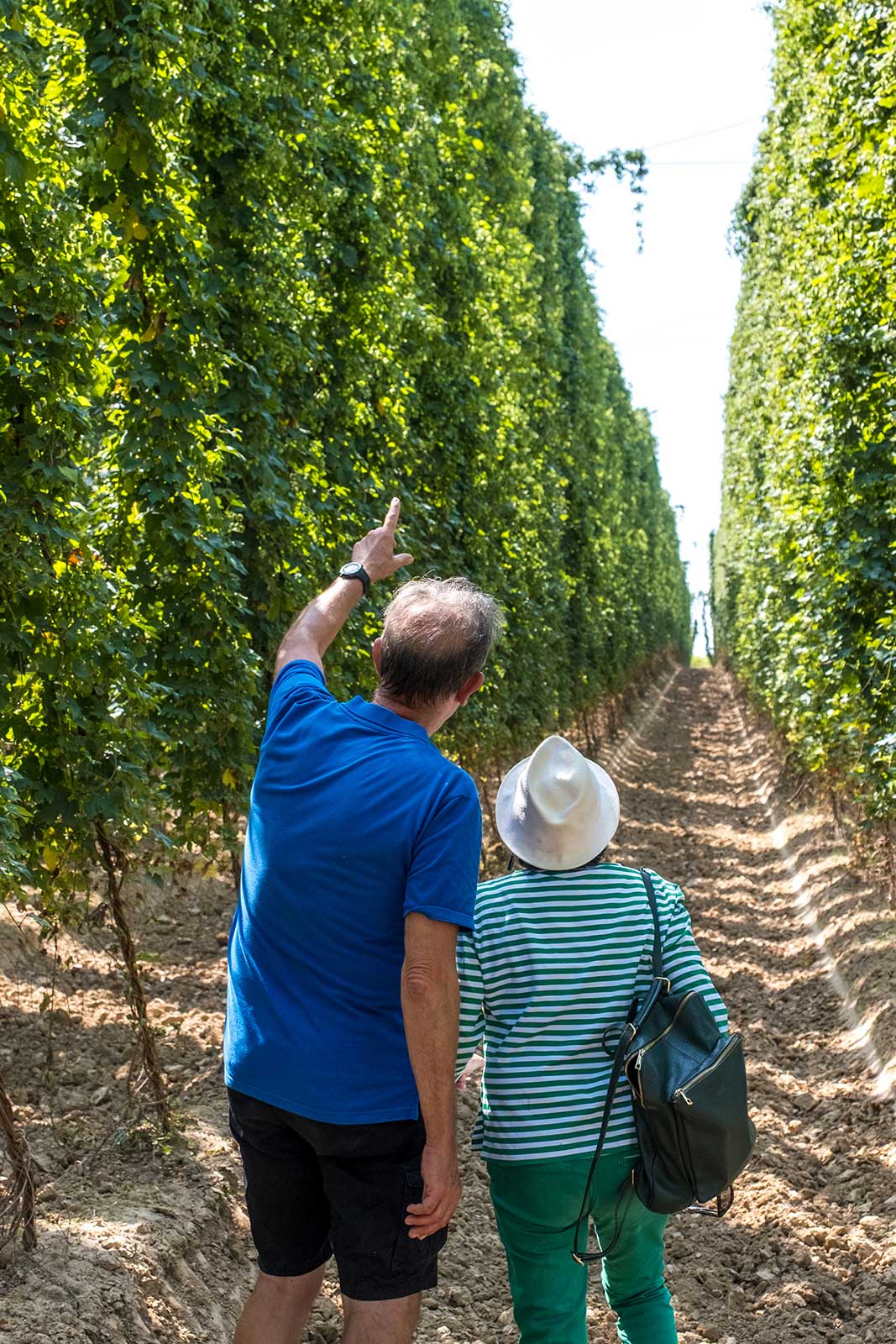 sentier du houblon vendredis houblonnés